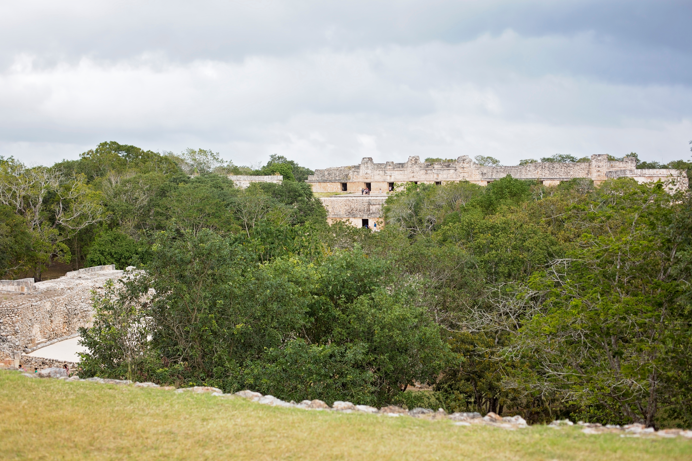 progresso (3).webp